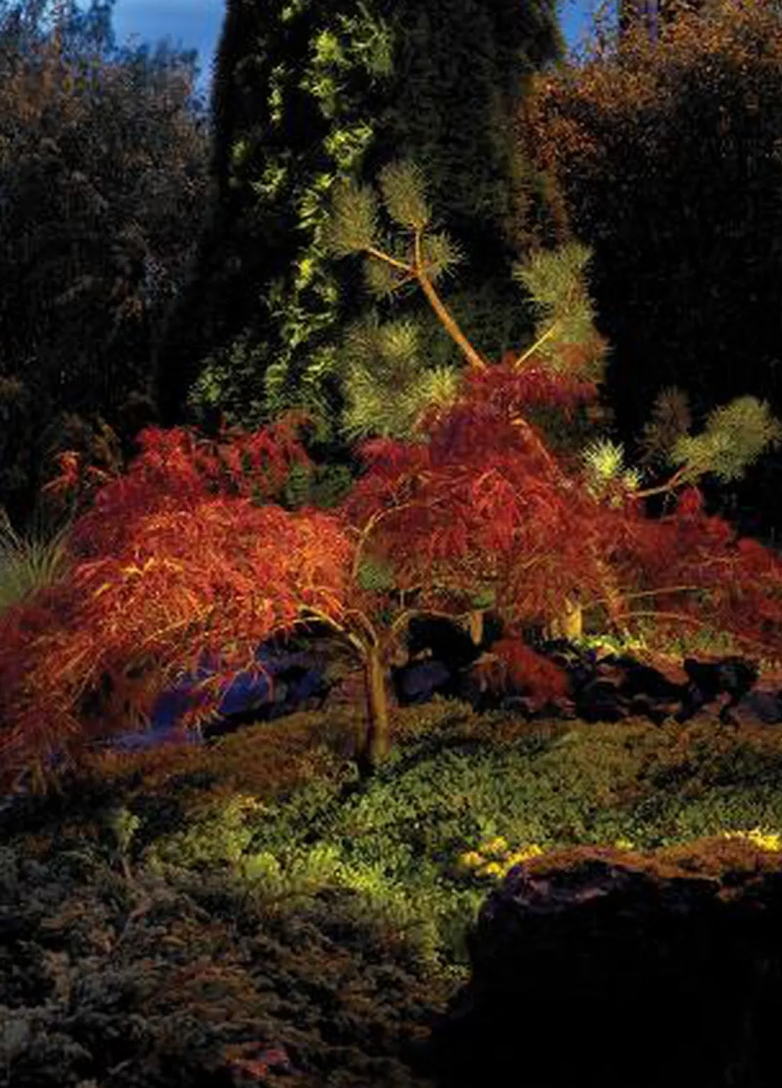 Norlys Lightup-Pris|Uplights<Rena 1551 uplight firkantet IP68 5,5W