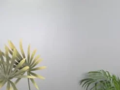 Emibig Kjøkkenbelysning Tak|Taklamper / Takplafonder<Solar taklampe 3 lys - Svart/Opal