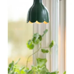 Pr home of Scandinavia Ab Kjøkkenbelysning Tak|Takpendler<Tulippa tak/vinduspendel -