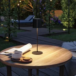 Paulmann Oppladbare Bordlamper<Tuni portabel bordlampe oppladbar 2,8W 2700 Kelvin IP44