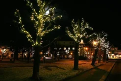 Trend Collection Juletrelys & Lysslynger<Utbygging Led slynge 50 lys 5,2 meter