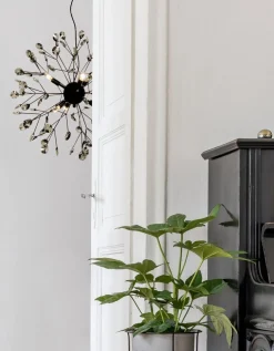 Aneta Lighting Kjøkkenbelysning Tak|Takpendler<Viva takpendel