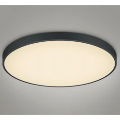 Trio Lighting Kjøkkenbelysning Tak|Taklamper / Takplafonder<Waco taklampe -