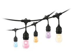 WiZ Wiz<Smart Lysslynge utendørs 12W 2700-5000K RGB Farge Wîfi -